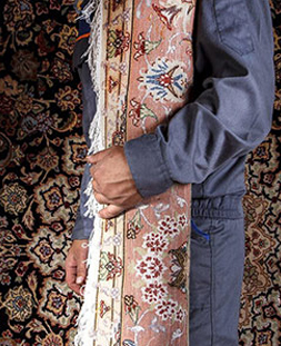 قالی لول در قالیشویی چیتگر